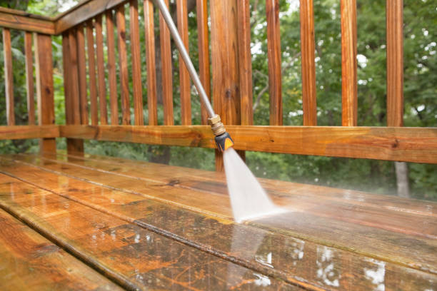 Best Affordable Pressure Washing  in Underwood Petersville, AL